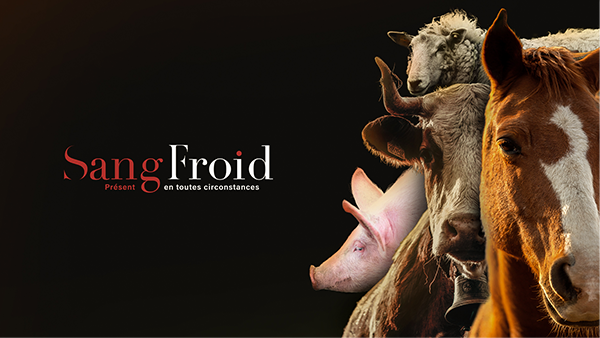 Animaux ferme 600x338 Animaux ferme 600x338